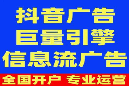SEM竞价实战：成功案例解析
